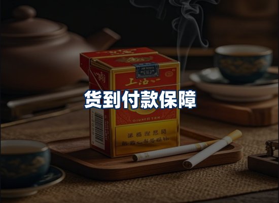 专业团队办公环境